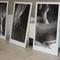 Instalace expozice (800x531, 58.48 KB)