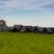 Veligrad: Fos-Zoe-Nika (800x383, 34.71 KB)