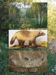 fauna_doby_ledove_ilustracni.jpg