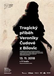 veronika_cudova_prednaska.jpg